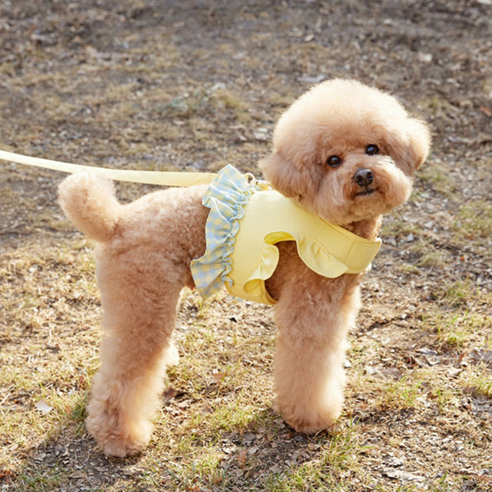 Dog Color Contrast Traction Ro - Lace Teddy Lingerie reseña y precio