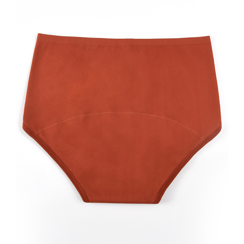Women’s Seamless Period Pantie - Period Panty Absorbent reseña y precio